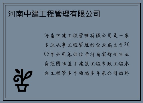河南中建工程管理有限公司